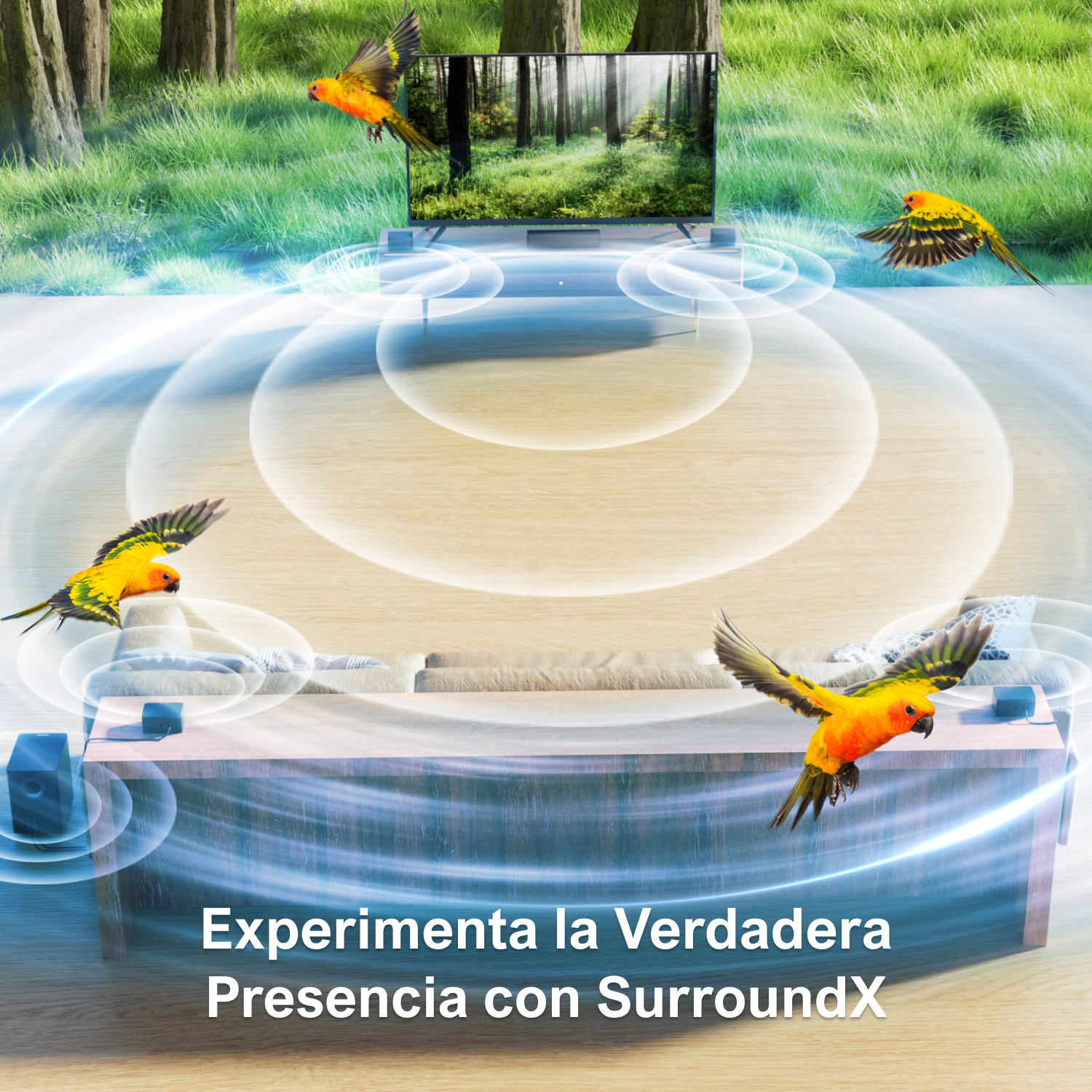 ULTIMEA 7.1 Surround Sound Sys – Home Cinema Ultimea Bewertung und Preis